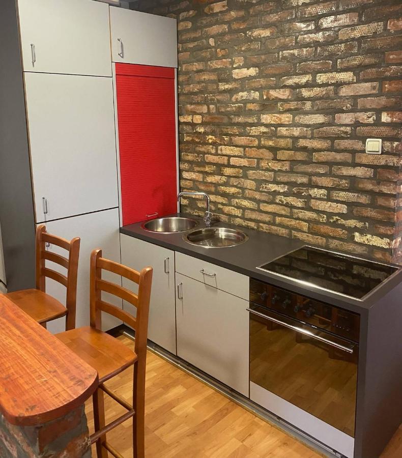 Twin Studio Apartments Zemun Belgrad Zewnętrze zdjęcie