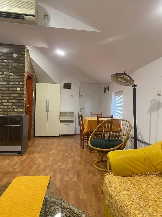Twin Studio Apartments Zemun Belgrad Zewnętrze zdjęcie