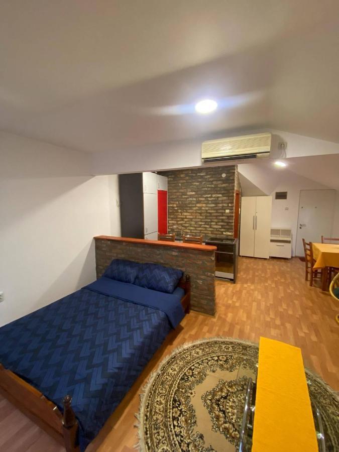 Twin Studio Apartments Zemun Belgrad Zewnętrze zdjęcie